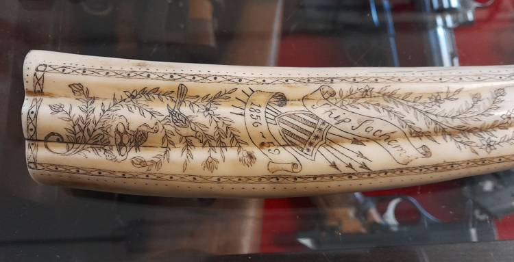 Scrimshaw. Corno inciso e dipinto. Arte Marinara. Sec. XX.