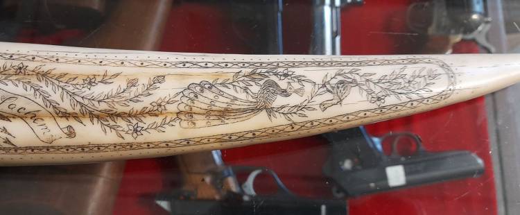 Scrimshaw. Corno inciso e dipinto. Arte Marinara. Sec. XX.