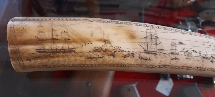 Scrimshaw. Corno inciso e dipinto. Arte Marinara. Sec. XX.