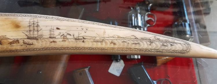 Scrimshaw. Corno inciso e dipinto. Arte Marinara. Sec. XX.