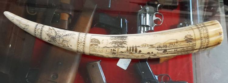 Scrimshaw. Dente inciso e dipinto. Arte Marinara. Sec. XX. -1-