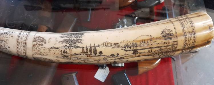 Scrimshaw. Dente inciso e dipinto. Arte Marinara. Sec. XX. -1-