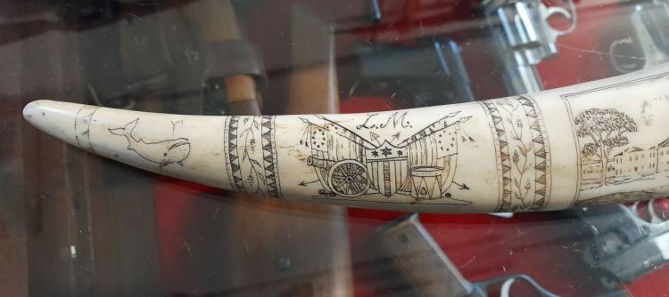 Scrimshaw. Dente inciso e dipinto. Arte Marinara. Sec. XX. -1-