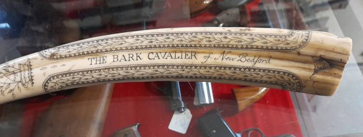 Scrimshaw. Dente inciso e dipinto. Arte Marinara. Sec. XX. -1-
