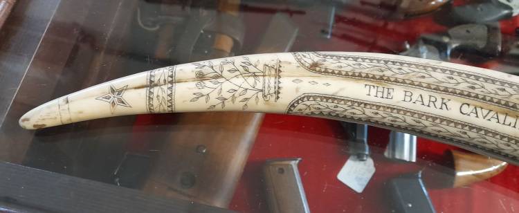 Scrimshaw. Dente inciso e dipinto. Arte Marinara. Sec. XX. -1-