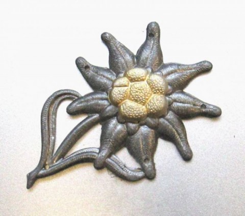 I - MILITARIA STORICA -  - WH  DISTINTIVO E.FELMUTZE GJ  �EDELWEISS�.				60,00