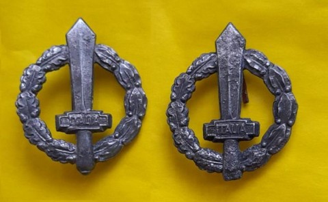 I - MILITARIA STORICA -  - RSI   COPPIA  GLADI  DA COLLETTO.  GRANDI.	